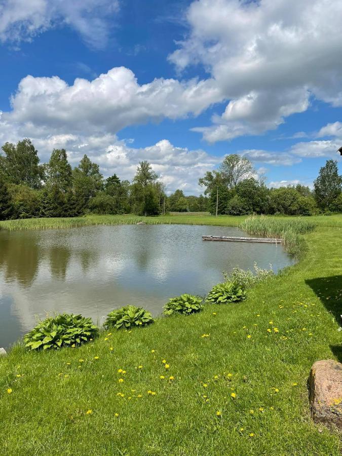 Villa Gintaro Pirtele Lazdijai Esterno foto