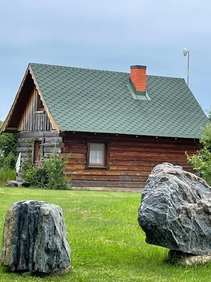 Villa Gintaro Pirtele Lazdijai Esterno foto