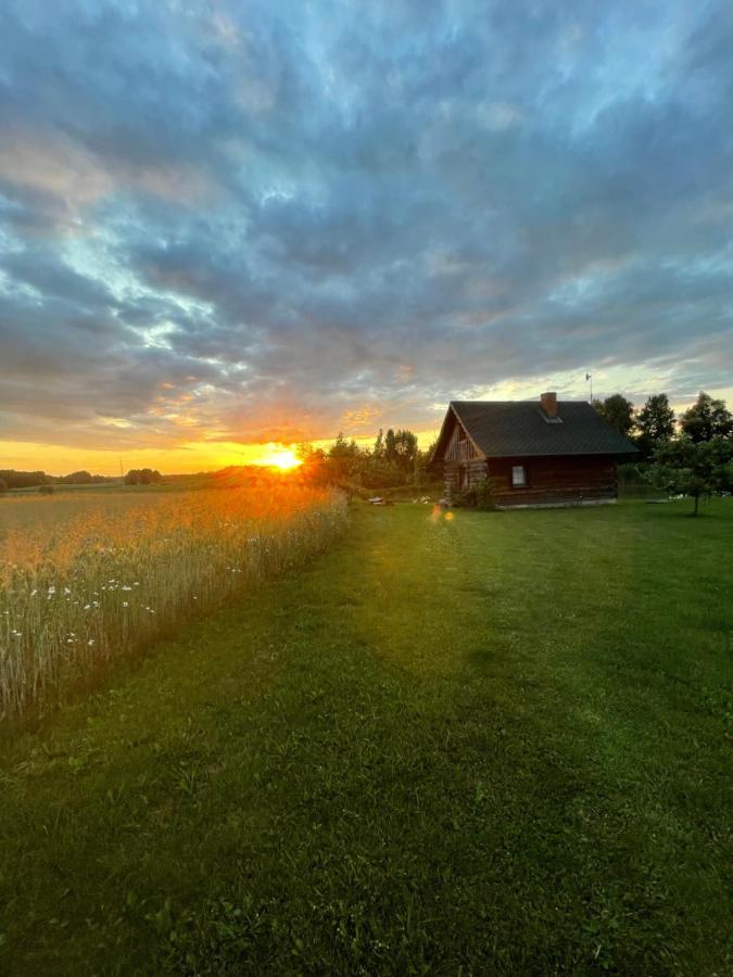 Villa Gintaro Pirtele Lazdijai Esterno foto