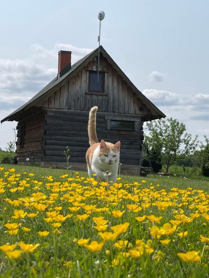 Villa Gintaro Pirtele Lazdijai Esterno foto