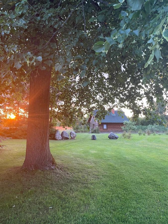 Villa Gintaro Pirtele Lazdijai Esterno foto