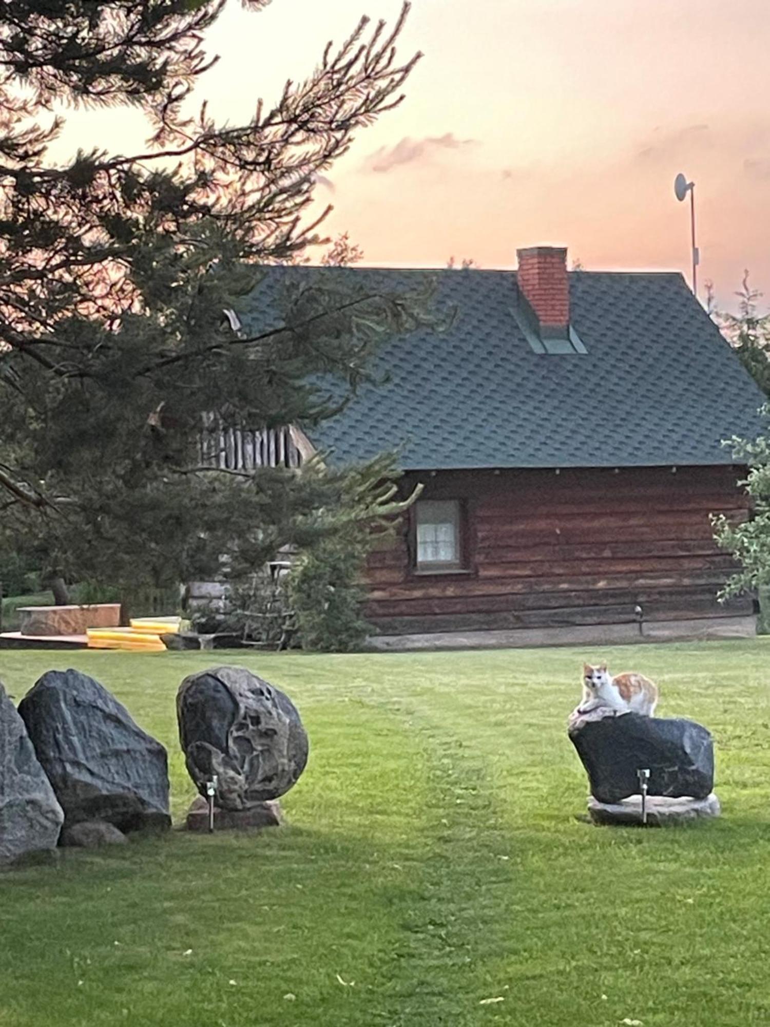 Villa Gintaro Pirtele Lazdijai Esterno foto