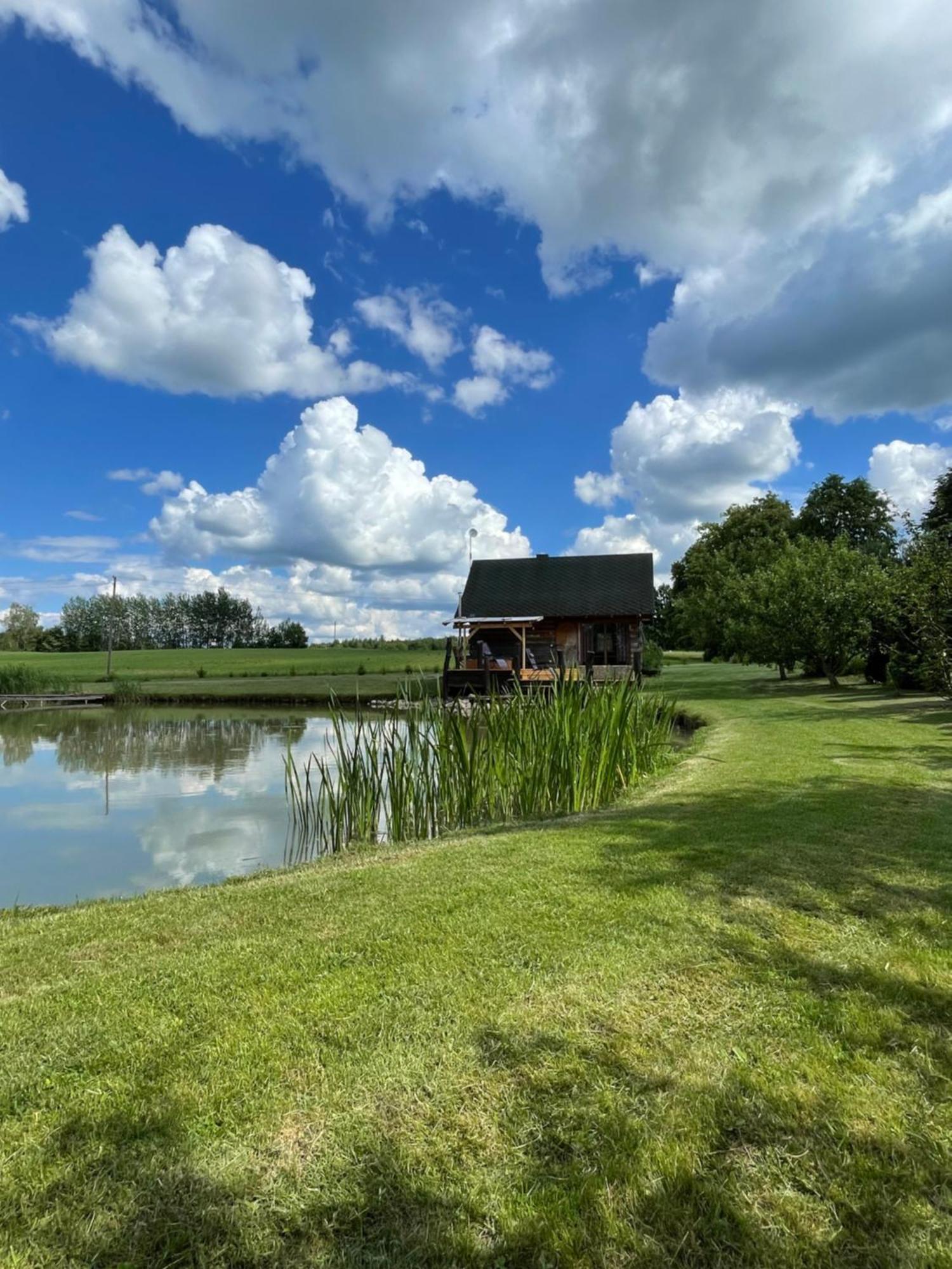 Villa Gintaro Pirtele Lazdijai Esterno foto