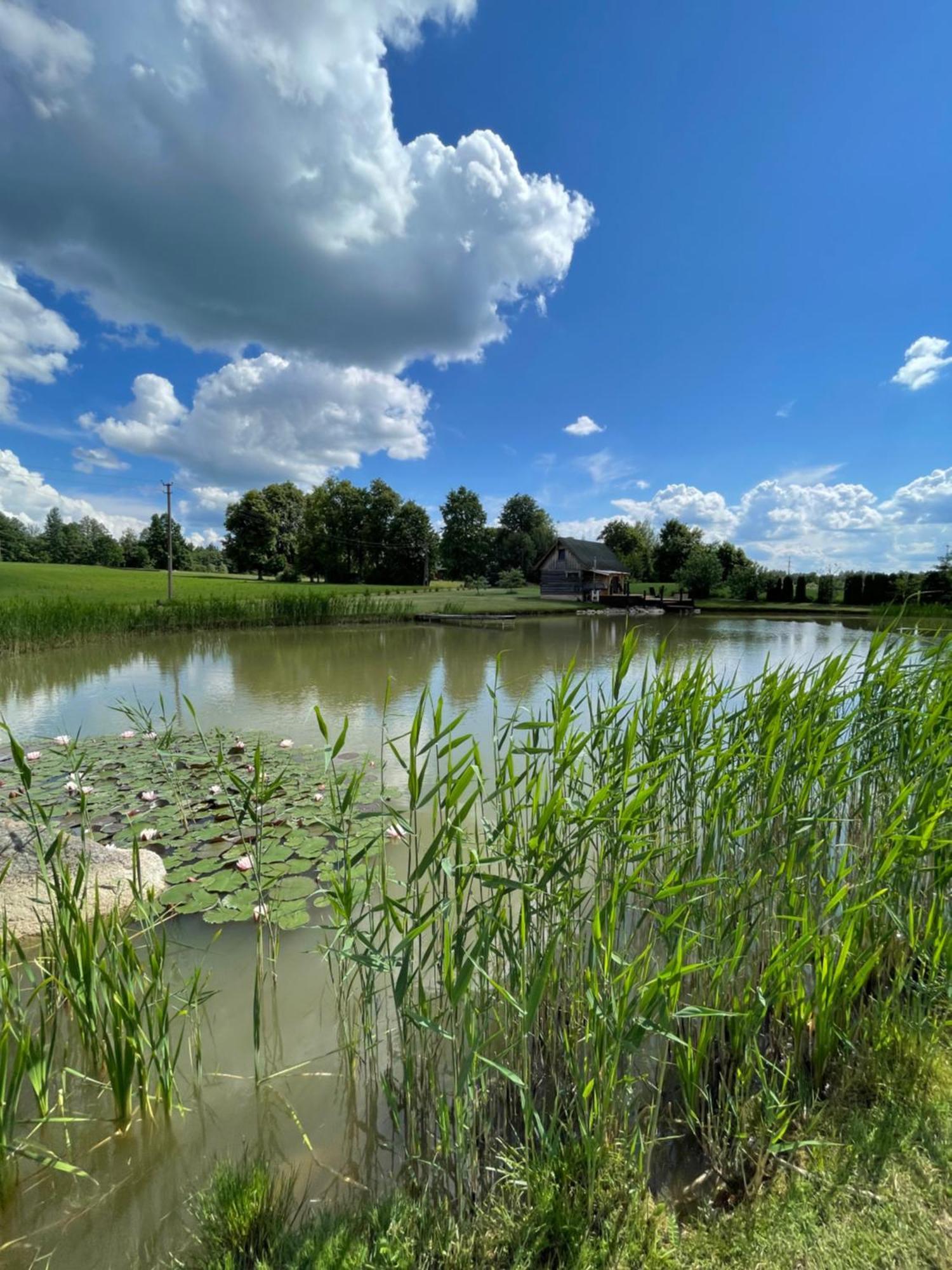 Villa Gintaro Pirtele Lazdijai Esterno foto