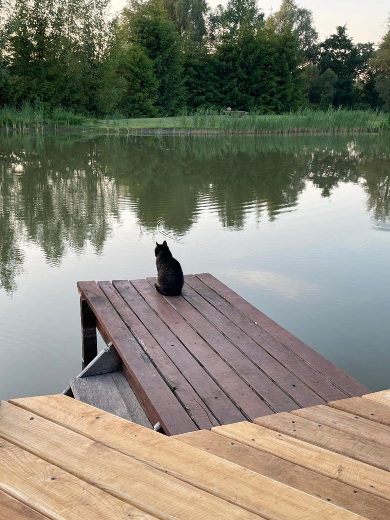 Villa Gintaro Pirtele Lazdijai Esterno foto