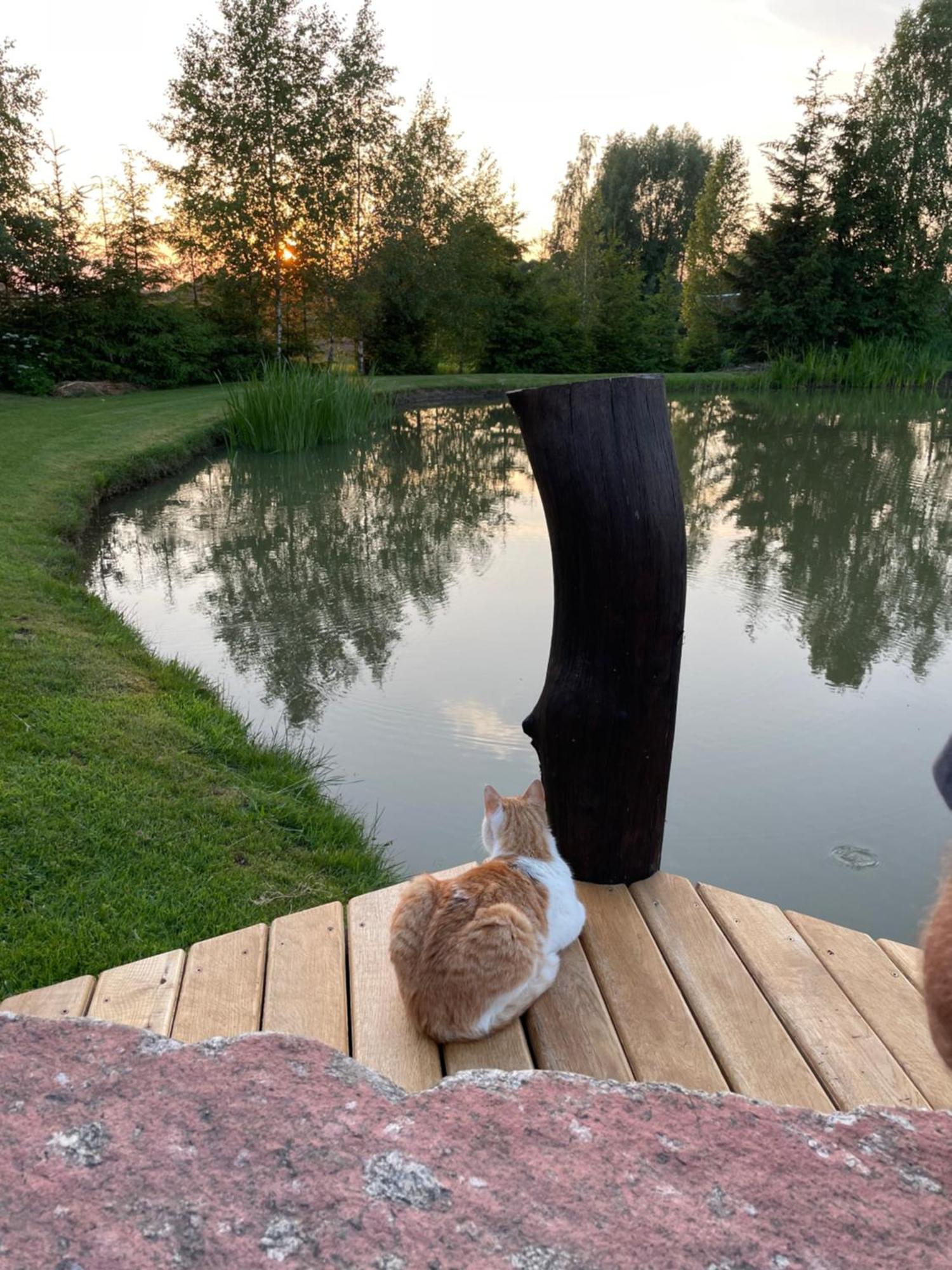 Villa Gintaro Pirtele Lazdijai Esterno foto